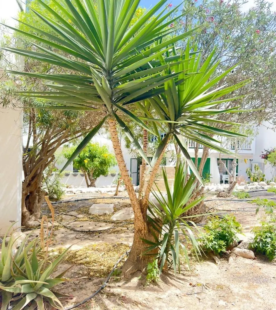 Apartmán Casita Alma Zen Costa De Antigua 0*,  Španělsko